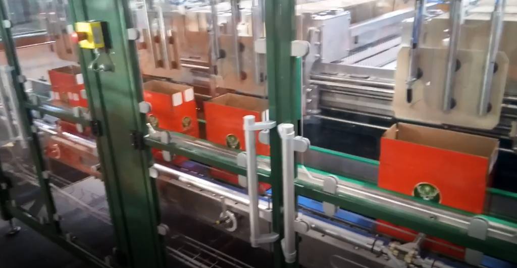 Gefachestecker DIVIPEX 8