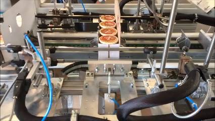 Tray- und Wraparound Packer TWP 20 14